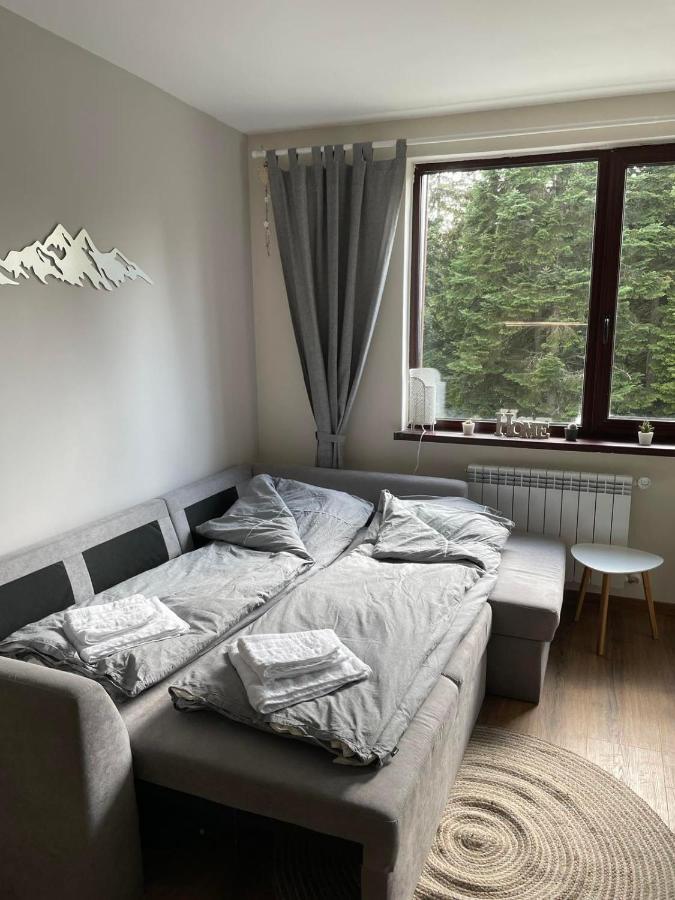 Pine Tree Apartment / Borovets Gardens Exteriér fotografie