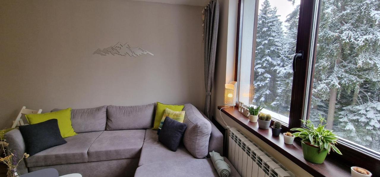 Pine Tree Apartment / Borovets Gardens Exteriér fotografie